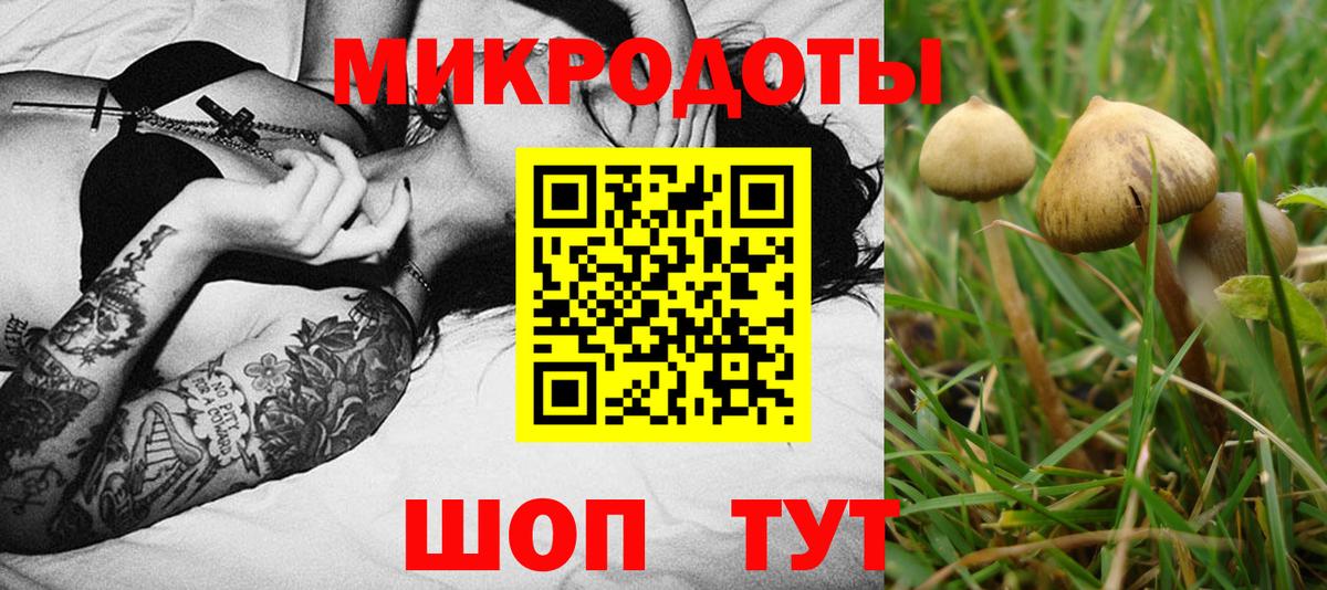 Галлюциногенные грибы Magic Shrooms  Вход с VPN  Губаха  Псилоцибиновые грибы Cubensis 