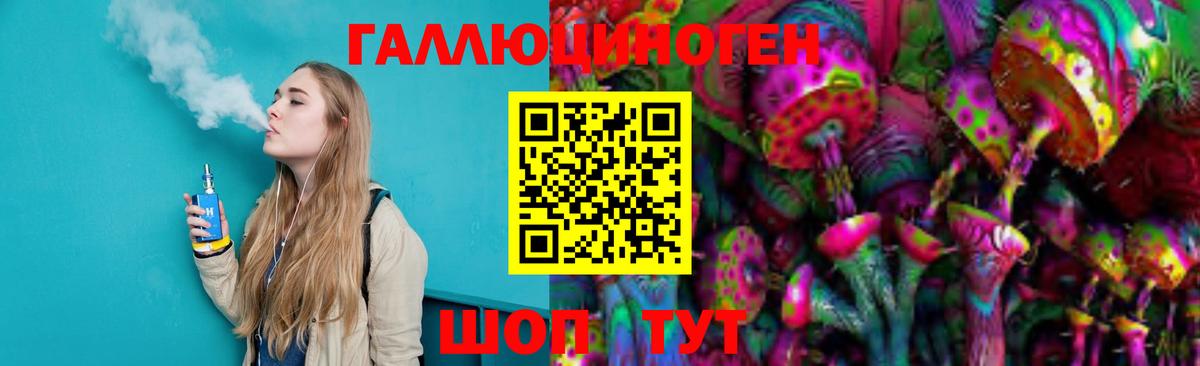 Псилоцибиновые грибы Cubensis Губаха